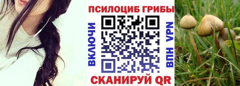 ОМГ ОМГ ссылки  Краснослободск  Галлюциногенные грибы Cubensis 